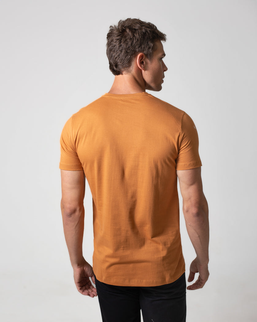 T-Shirt 100% Algodão