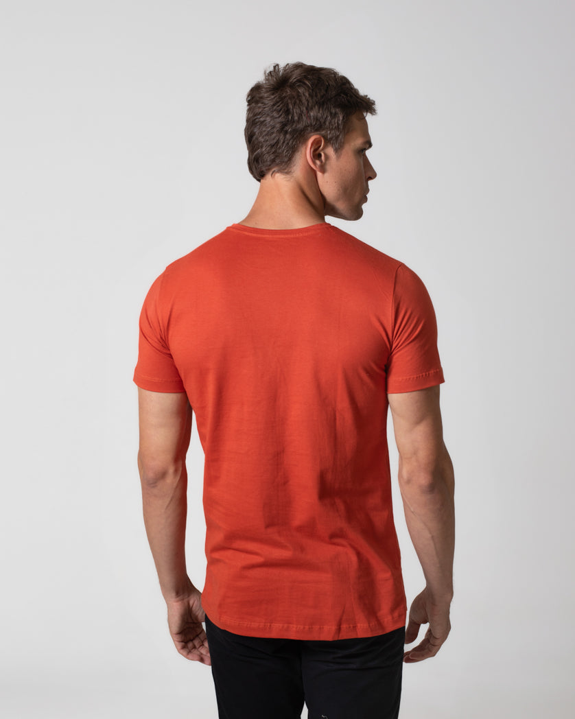 T-Shirt 100% Algodão