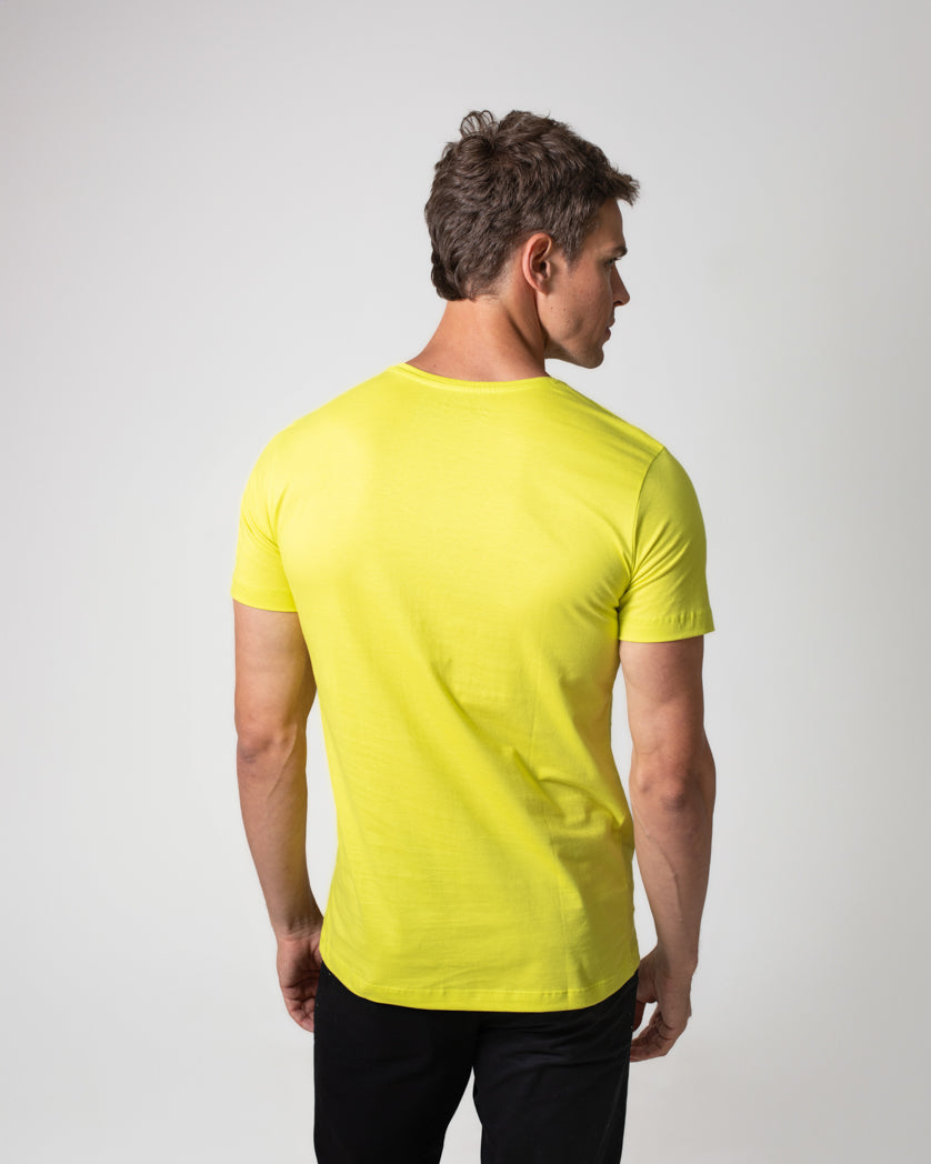 T-Shirt 100% Algodão